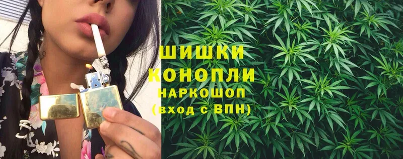 купить наркотик  Электрогорск  MEGA ссылки  Канабис OG Kush 